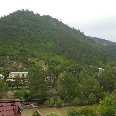 Karlsson Borjomi Apartment. 외부 사진