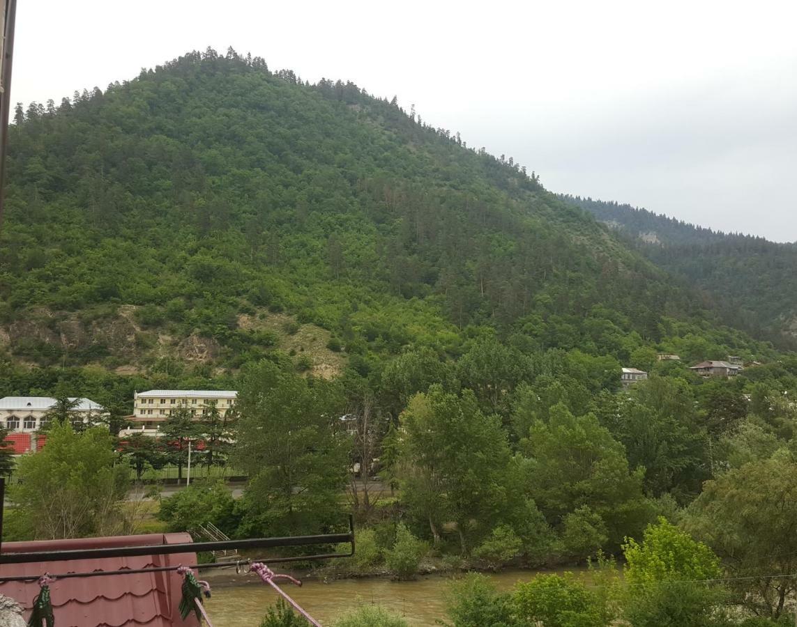 Karlsson Borjomi Apartment. 외부 사진